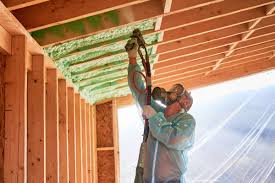 Best Wall Insulation Installation  in Stevensville, MI