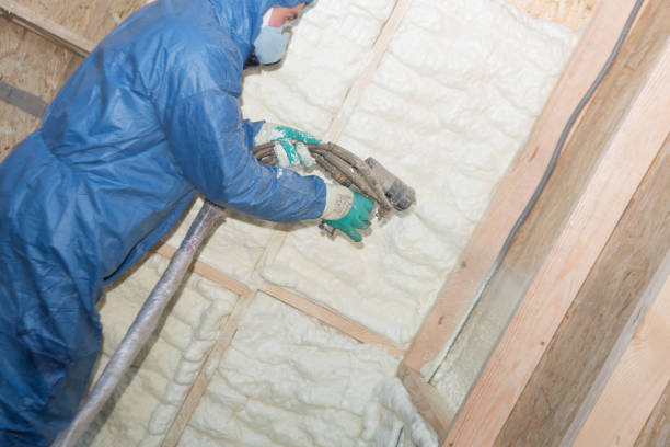 Types of Insulation We Offer in Stevensville, MI